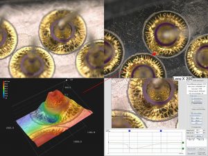 gold braze feedthrough